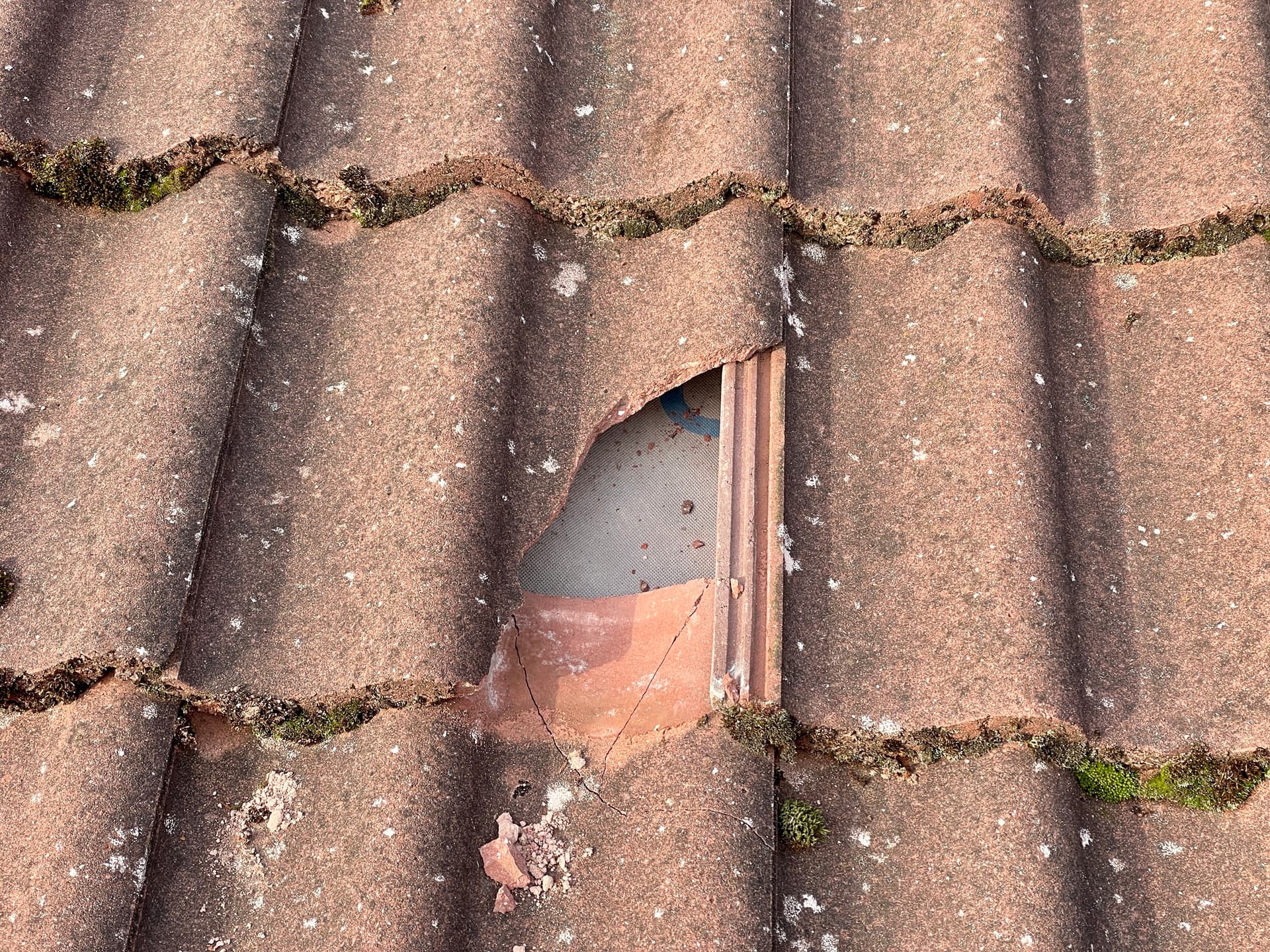 Will Professional Tile and Grout Cleaning Damage Your Floor?