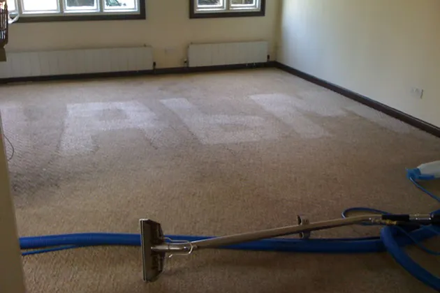 Carpet cleaning