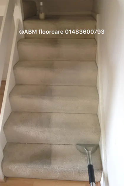 Low-Moisture Carpet Cleaning